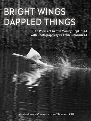 cover image of Bright Wings, Dappled Things